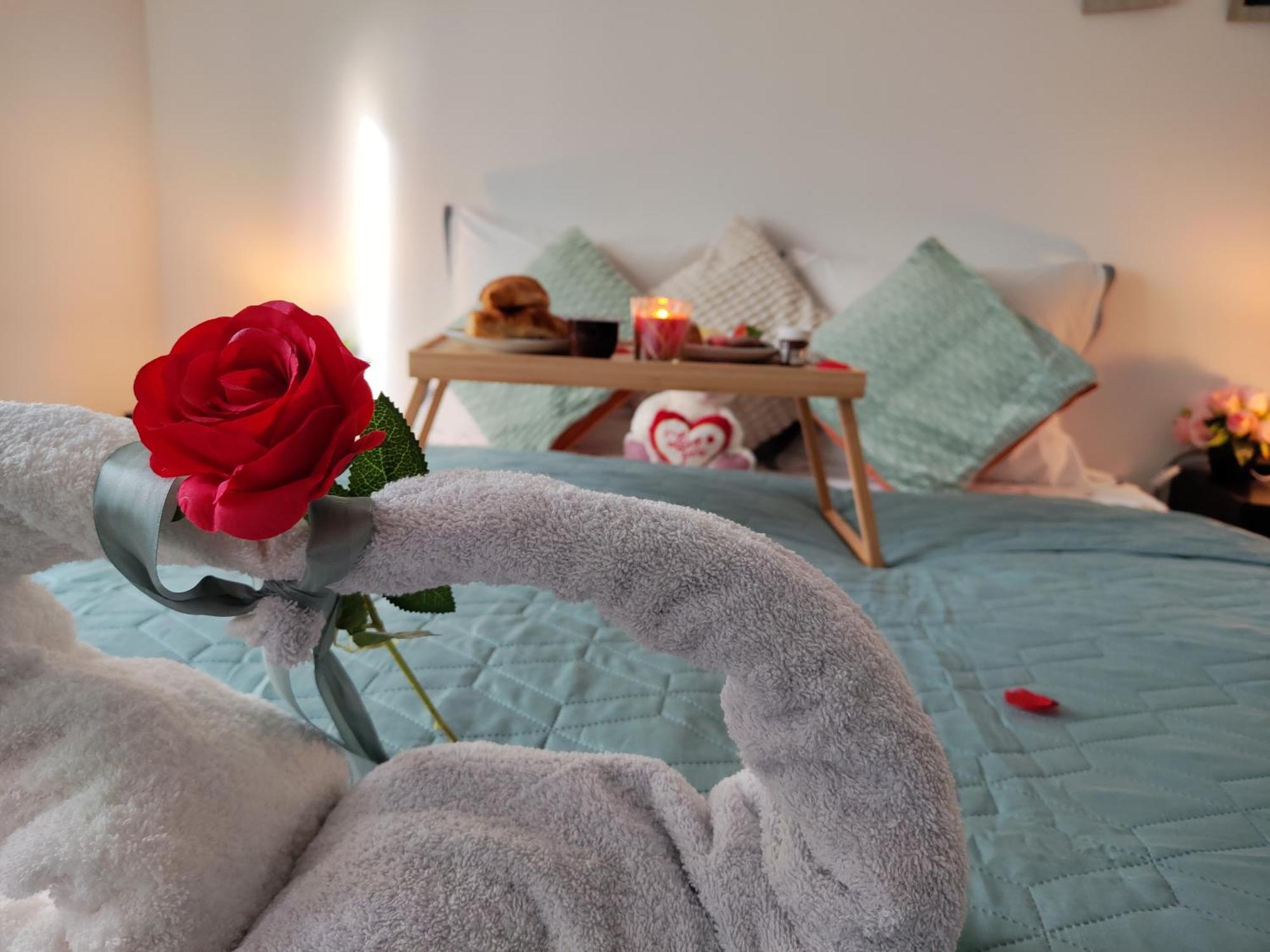 Romantic Cocon In * Mülhausen